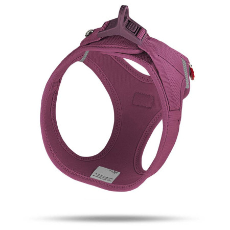 Postroj pre psa Curli Vest Clasp Air-Mesh