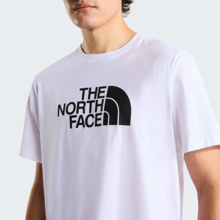Pánske tričko The North Face Evolution Half Dome Regular Short Slee