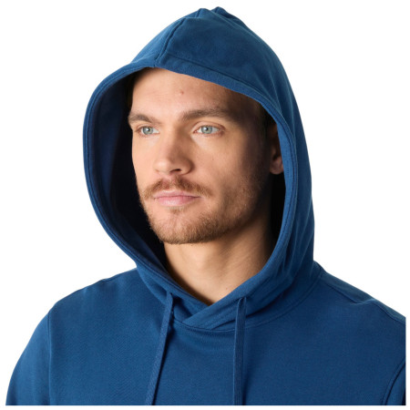 Pánska mikina Helly Hansen HH Logo Hoodie
