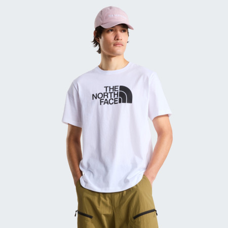 Pánske tričko The North Face Evolution Half Dome Regular Short Slee