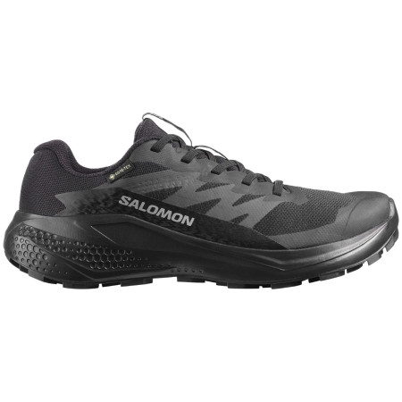 Dámske topánky Salomon Alphaglide Gore-Tex