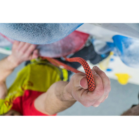 Lano Tendon Indoor 9,8 30m