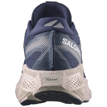 Pánske bežecké topánky Salomon Aero Glide 4
