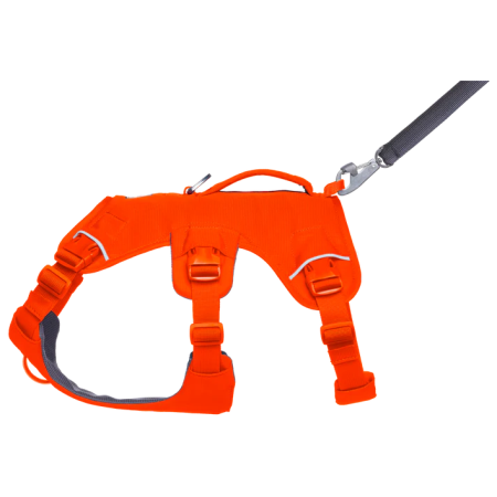Postroj pre psa Ruffwear Web Master™ Harness