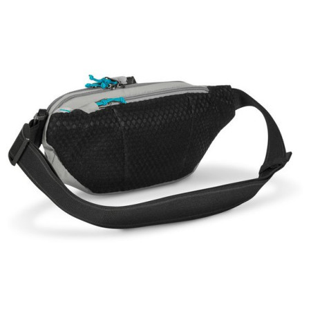 Ľadvinka Pacsafe ECO waist pack