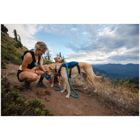 Postroj pre psa Ruffwear Switchbak™ Harness