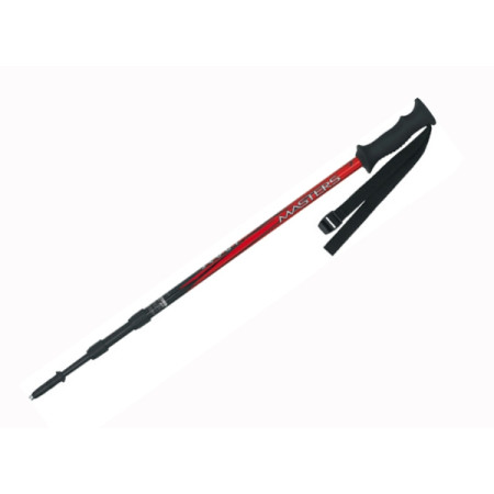 Palice Masters Scout