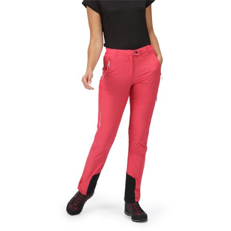 Dámske nohavice Regatta Mountain Trs III