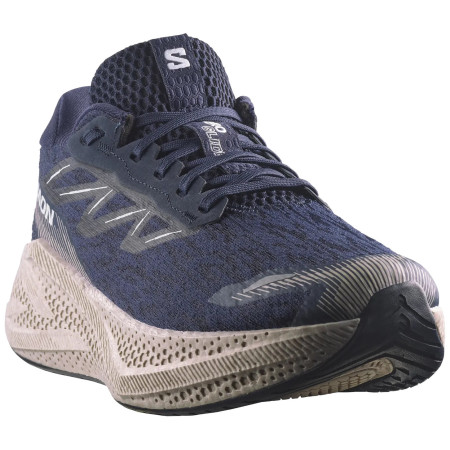 Pánske bežecké topánky Salomon Aero Glide 4