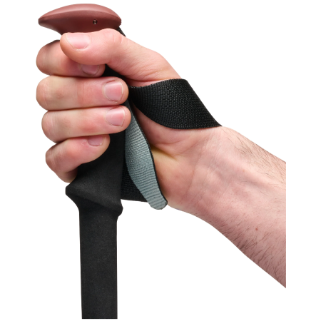 Trekové palice Black Diamond Trail Trekking Poles