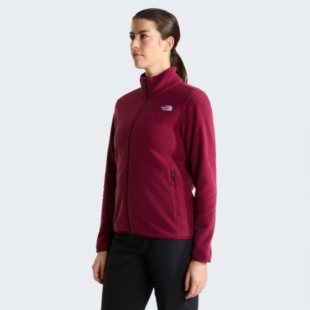 Dámska funkčná mikina The North Face W Glacier Fleece Jacket