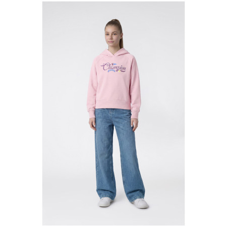 Detská mikina Champion Hooded Sweatshirt G