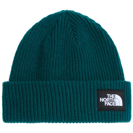 Čiapka The North Face Salty Lined Beanie