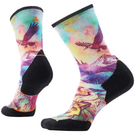 Ponožky Smartwool Women's Trail Run Targeted Cushion Seren mix1