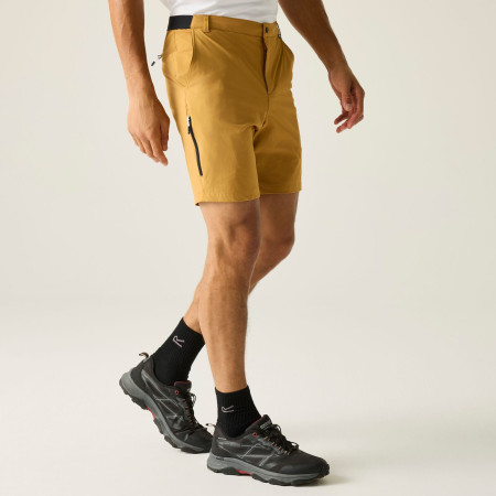 Pánske kraťasy Regatta Anti-Insect Travel Light Shorts