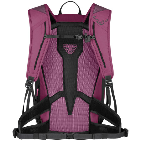 Dámsky turistický batoh Dynafit Transalper 22 Backpack W