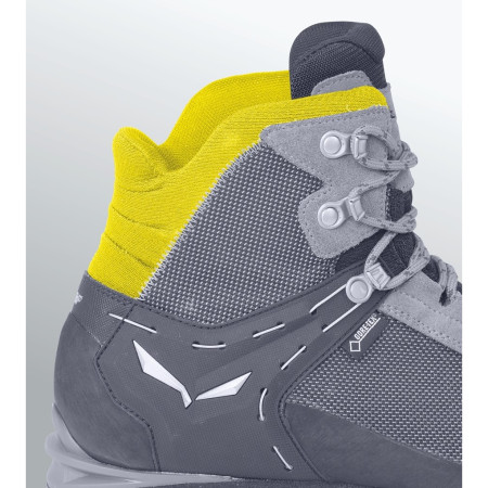 Dámske topánky Salewa WS Rapace GTX