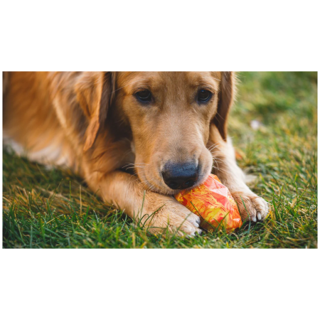 Hračka pre psa Ruffwear Gnawt-a-Cone™ Toy