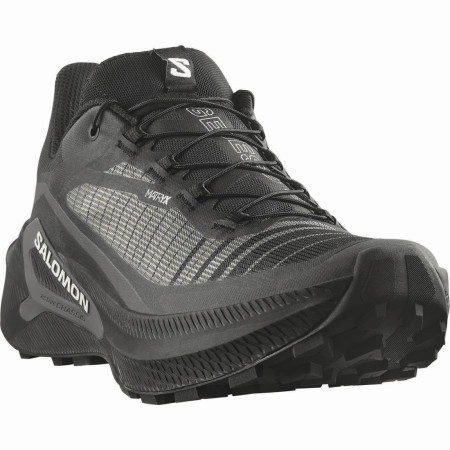 Pánske bežecké topánky Salomon Genesis 2