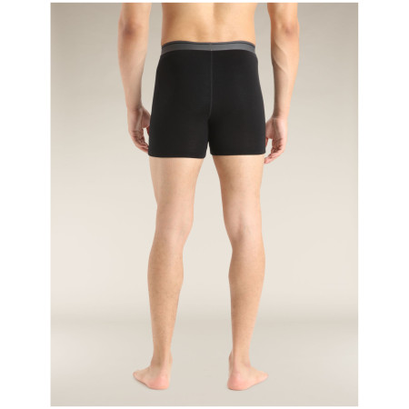 Pánske boxerky Icebreaker Mens Anatomica Boxers