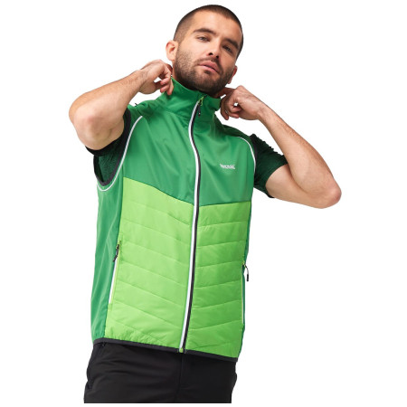 Pánska bunda Regatta Steren Hybrid