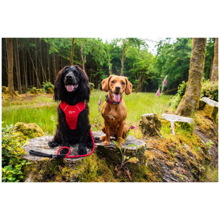 Vôdzka pre psa Mountain Paws Rope Dog Lead