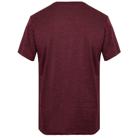 Pánske tričko Regatta Fingal Edition