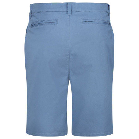 Pánske kraťasy Regatta Sabden Short