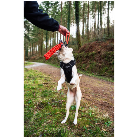 Hračka pre psa Mountain Paws Braided Chew Rope Dog Toy