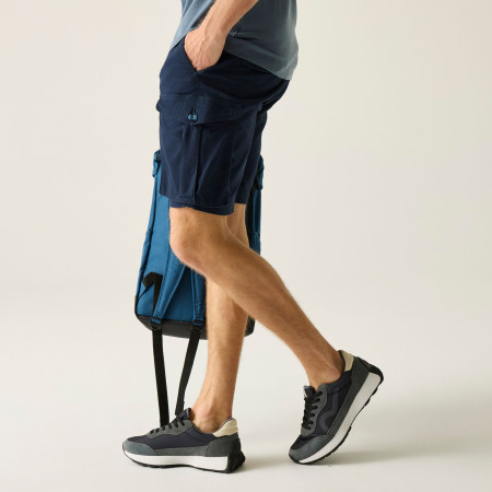 Pánske kraťasy Regatta Bendrick Shorts