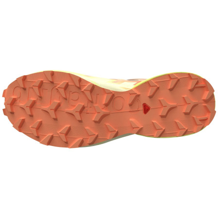 Dámske bežecké topánky Salomon Speedcross 6