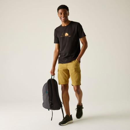 Pánske kraťasy Regatta Ruwan Shorts