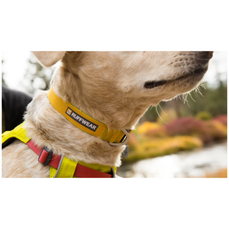 Obojok pre psa Ruffwear Hi & Light™ Collar