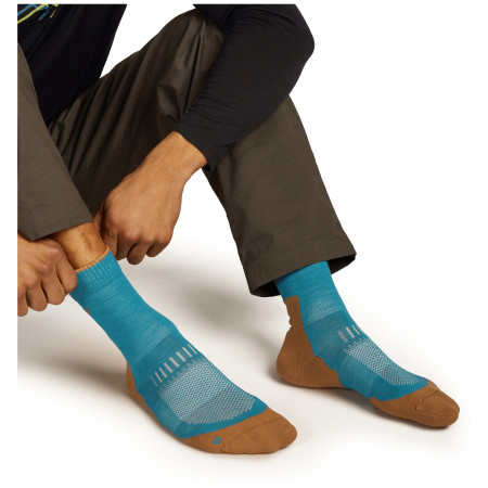 Pánske ponožky Icebreaker M Mer Hike+ Light Crew