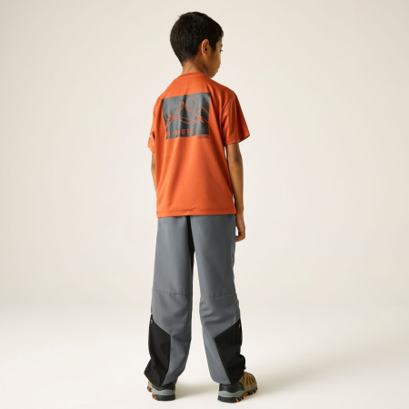 Detské nohavice Regatta Sorcer Mountain Trousers VII Dark Storm