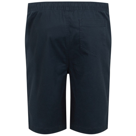 Pánske kraťasy Regatta Aldan Short