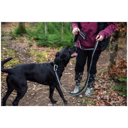 Vôdzka s amortizérom Mountain Paws Shock Absorber Dog Lead