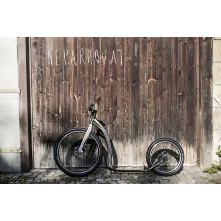 Kolobežka Yedoo Trexx Disc