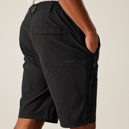 Pánske kraťasy Regatta Highton Shorts Long II