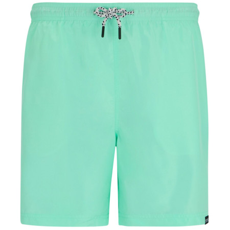 Pánske kraťasy Regatta Mackleyna Swim Short