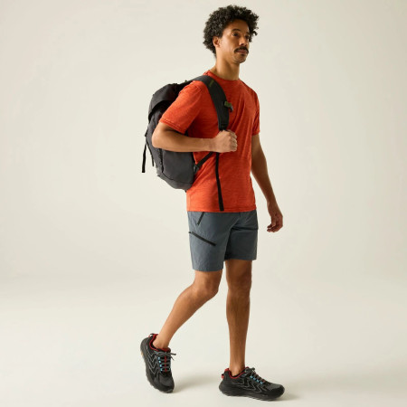 Pánske kraťasy Regatta Xert Stretch Shorts