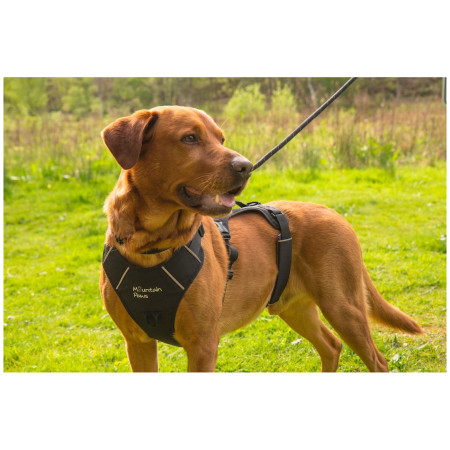 Postroj pre psa Mountain Paws 3-Strap Dog Harness