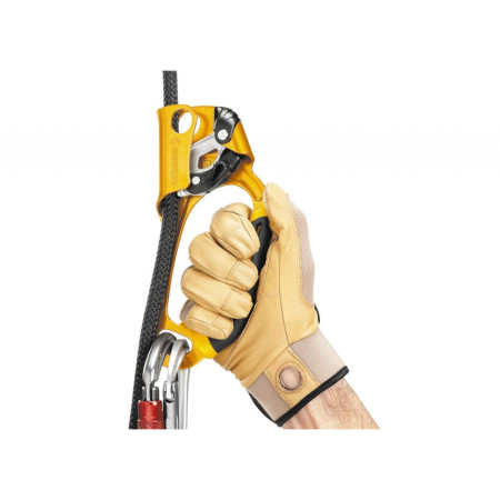 Blokant Petzl Ascension