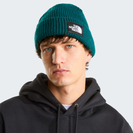 Čiapka The North Face Salty Lined Beanie