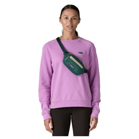 Ľadvinka Patagonia Terravia Mini Hip Pack