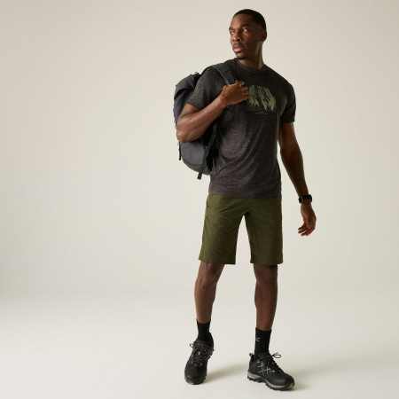 Pánske tričko Regatta Fingal