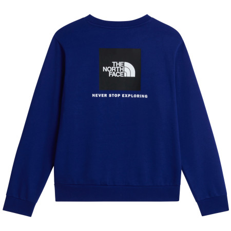 Pánska mikina The North Face M Evolution Box Nse Regular Crew