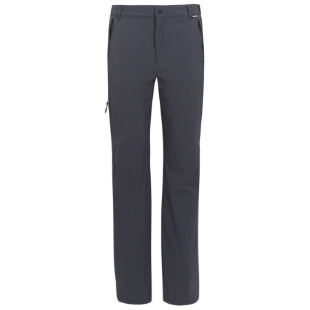Pánske nohavice Regatta Travel Light Packaway Trousers sivá Ash