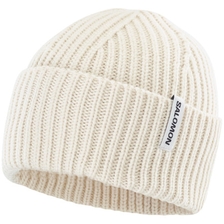 Čiapka Salomon Snowbird Beanie U biela WHISPER WHITE