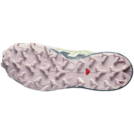 Dámske topánky Salomon Speedcross 6 Gore-Tex